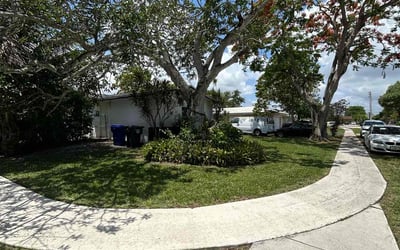 Photo of Patricia P.'s yard after getting lawn care in San Bernardino, CA