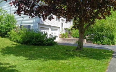 Photo of Bill R.'s yard after getting lawn care in Clinton, MA