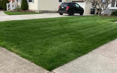 Photo of Kathleen M.'s yard after getting lawn care in Ashland, KY