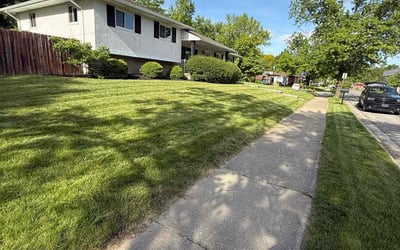Photo of Vincent M.'s yard after getting lawn care in Texas City, TX