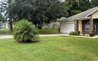 Photo of Christopher M.'s yard after getting lawn care in Fruitland Park, FL