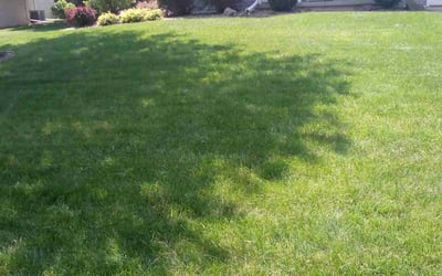 Photo of Kyle J.'s yard after getting lawn care in Green Bay, WI