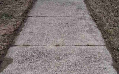 Photo of Christopher H.'s yard after getting lawn care in Cleveland Heights, OH