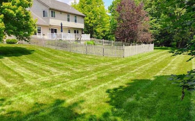 Photo of Rasmey H.'s yard after getting lawn care in Atlanta, GA