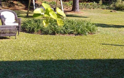 Photo of Christopher T.'s yard after getting lawn care in Willow Spring, NC