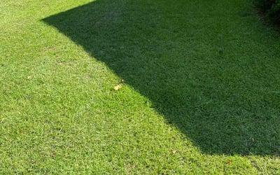 Photo of Emmy W.'s yard after getting lawn care in Travelers Rest, SC