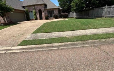 Photo of Joann J.'s yard after getting lawn care in Yazoo City, MS