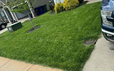 Photo of Earle J.'s yard after getting lawn care in Kernersville, NC