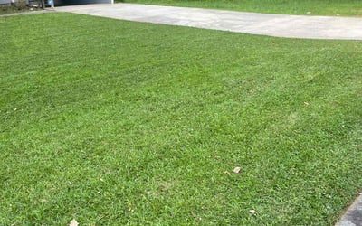 Photo of Shemeka L.'s yard after getting lawn care in Oak Lawn, IL