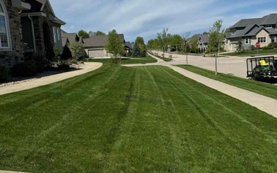 Photo of Shannon H.'s yard after getting lawn care in Portage, WI