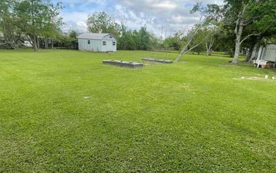 Photo of Dave H.'s yard after getting lawn care in Sulphur, LA