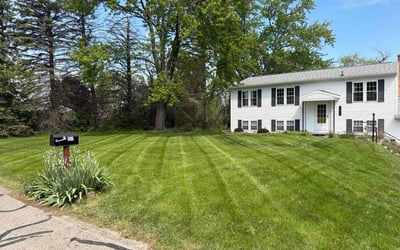 Photo of Matthew T.'s yard after getting lawn care in Lexington, NC