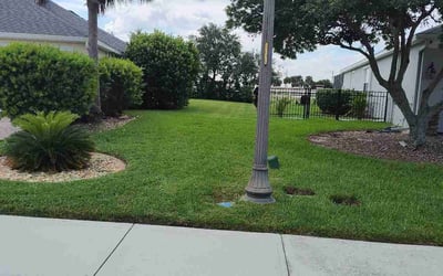 Photo of Megan M.'s yard after getting lawn care in Reno, NV