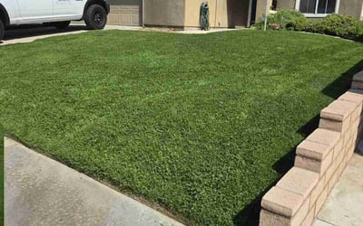 Photo of Thomas D.'s yard after getting lawn care in Yucaipa, CA