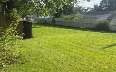 Photo of Jeni P.'s yard after getting lawn care in Manor, TX
