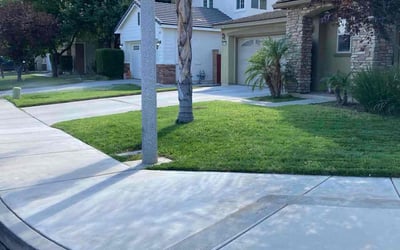 Photo of Vernon H.'s yard after getting lawn care in Menifee, CA