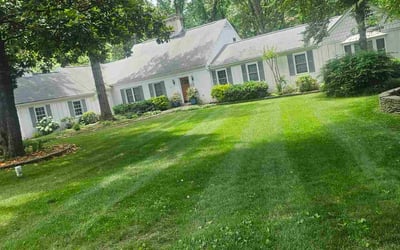 Photo of Kevin T.'s yard after getting lawn care in Edgewater, MD