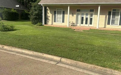 Photo of Megan B.'s yard after getting lawn care in Ridgeland, MS