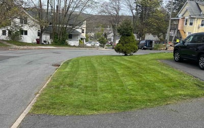 Photo of Greg G.'s yard after getting lawn care in Naugatuck, CT