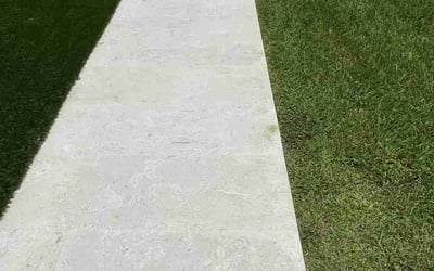 Photo of Jedly J.'s yard after getting lawn care in Hialeah, FL