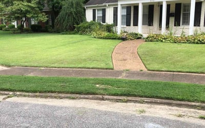 Photo of Amber C.'s yard after getting lawn care in Covington, TN