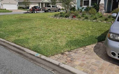 Photo of Vyonne C.'s yard after getting tree care in Saint Johns, FL