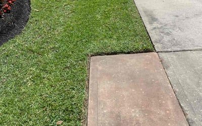 Photo of Susan C.'s yard after getting lawn care in Humble, TX