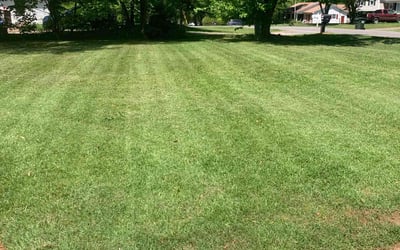 Photo of Costley B.'s yard after getting lawn care in Gastonia, NC