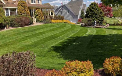 Photo of Madeline F.'s yard after getting lawn care in Crestview, FL