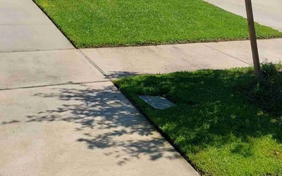 Photo of Mark K.'s yard after getting lawn care in Houston, TX