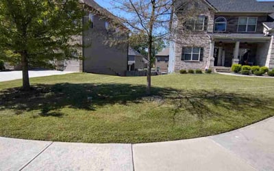Photo of Alisa N.'s yard after getting lawn care in Loganville, GA