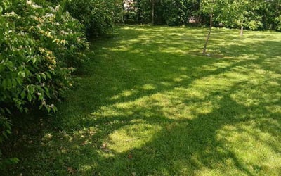 Photo of Joshua P.'s yard after getting lawn care in Nashville, TN