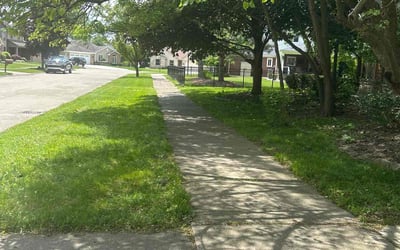 Photo of Louis V.'s yard after getting lawn care in Clinton Township, MI