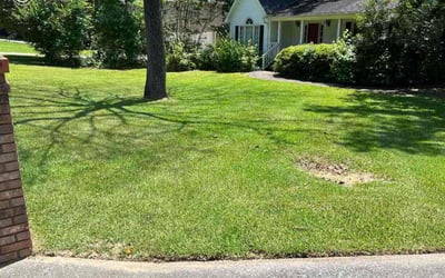 Photo of Frances D.'s yard after getting lawn care in Leeds, AL