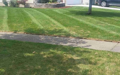 Photo of Sheila E.'s yard after getting lawn care in Lancaster, NY