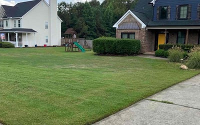 Photo of Liliana A.'s yard after getting lawn care in Broadview Heights, OH