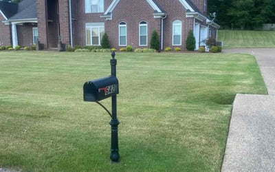 Photo of Nacole E.'s yard after getting lawn care in Olive Branch, MS