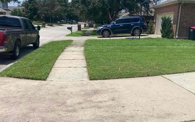 Photo of Joshua R.'s yard after getting lawn care in Tomball, TX