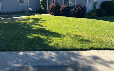 Photo of Bre F.'s yard after getting lawn care in Raleigh, NC