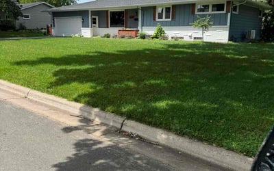 Photo of Brandon R.'s yard after getting lawn care in Hopkins, MN
