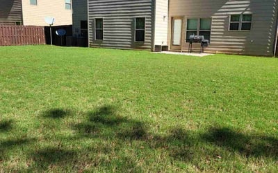 Photo of Asberry R.'s yard after getting lawn care in Covington, GA