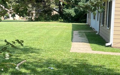 Photo of Rose I.'s yard after getting lawn care in Barnesville, GA