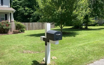 Photo of Jean S.'s yard after getting lawn care in Youngsville, NC