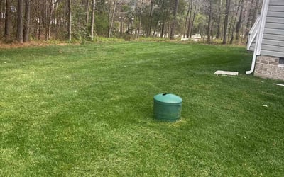 Photo of Cherita P.'s yard after getting lawn care in Ruther Glen, VA