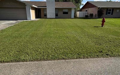 Photo of Marilyn G.'s yard after getting lawn care in Kearny, NJ