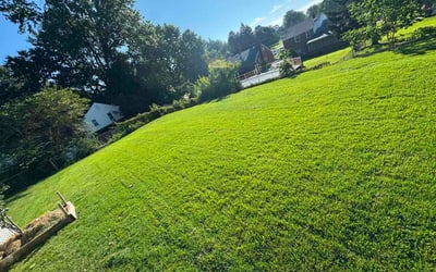 Photo of Hoseok P.'s yard after getting lawn care in Peachtree City, GA
