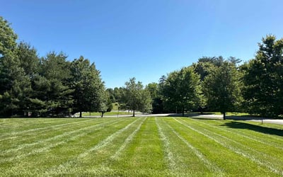 Photo of Darlene A.'s yard after getting lawn care in Lutherville Timonium, MD