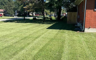 Photo of Aaron M.'s yard after getting lawn care in Shelbyville, KY