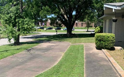 Photo of Mary K.'s yard after getting lawn care in Sand Springs, OK