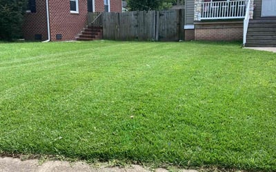 Photo of Emily A.'s yard after getting lawn care in Santa Clara, CA